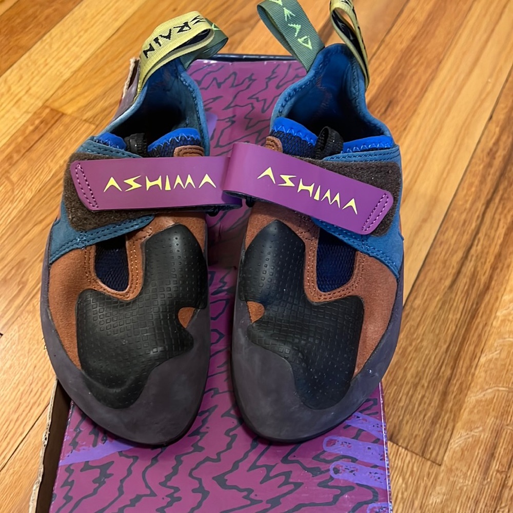 Evolv Zenist Brain Dead x Ashima